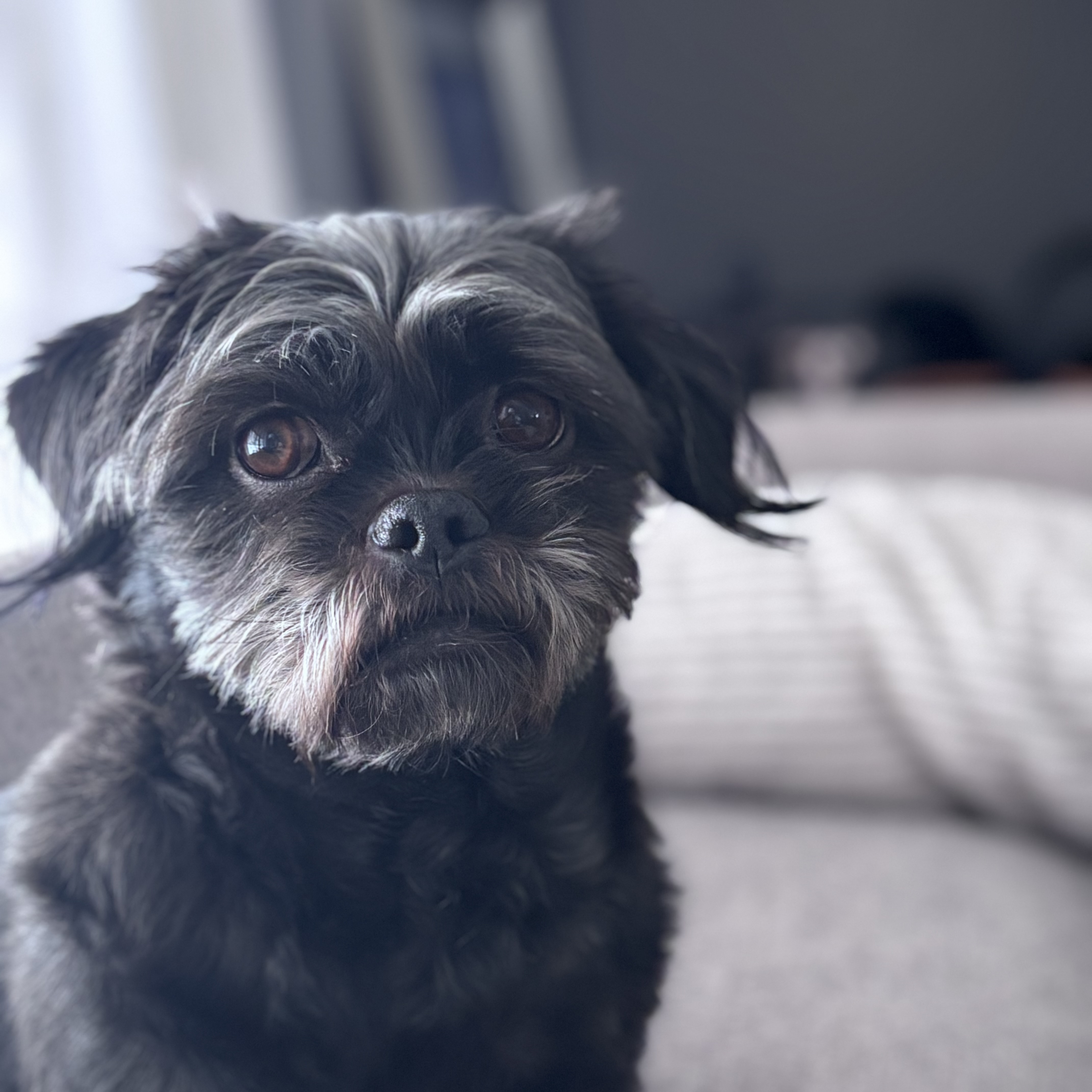 Heather Hoopfer photo 2