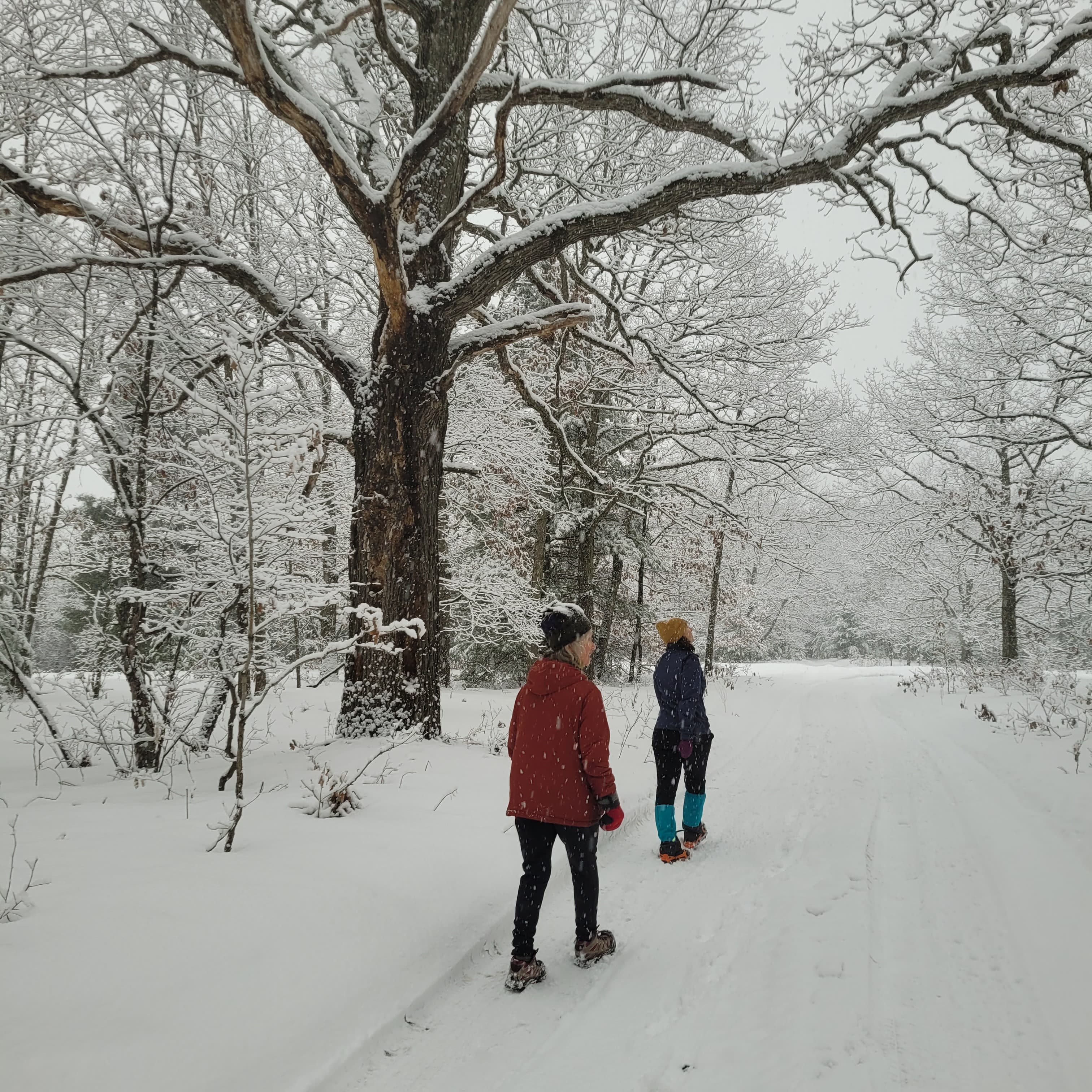 Heather Hoopfer photo 26