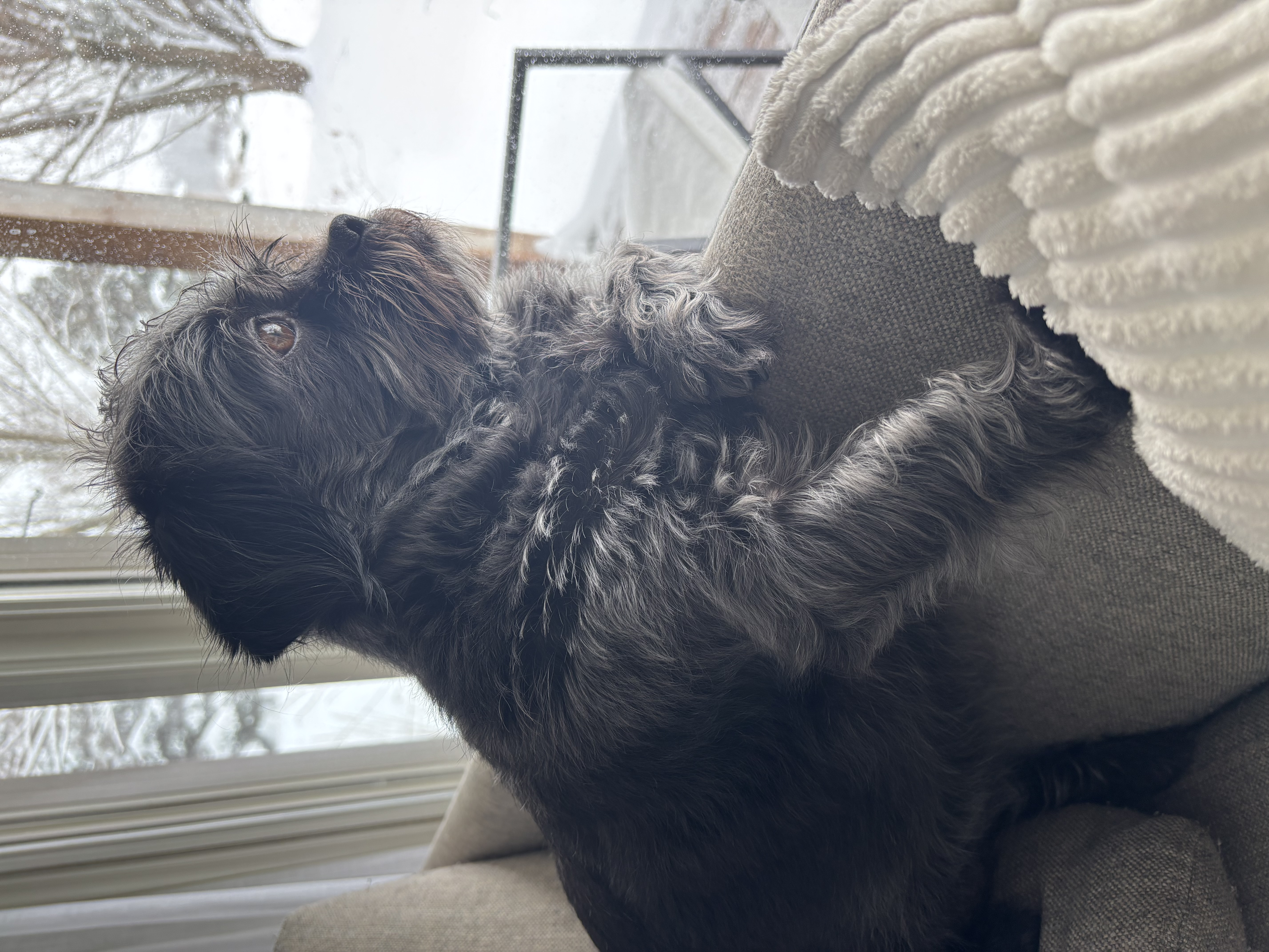 Heather Hoopfer photo 33