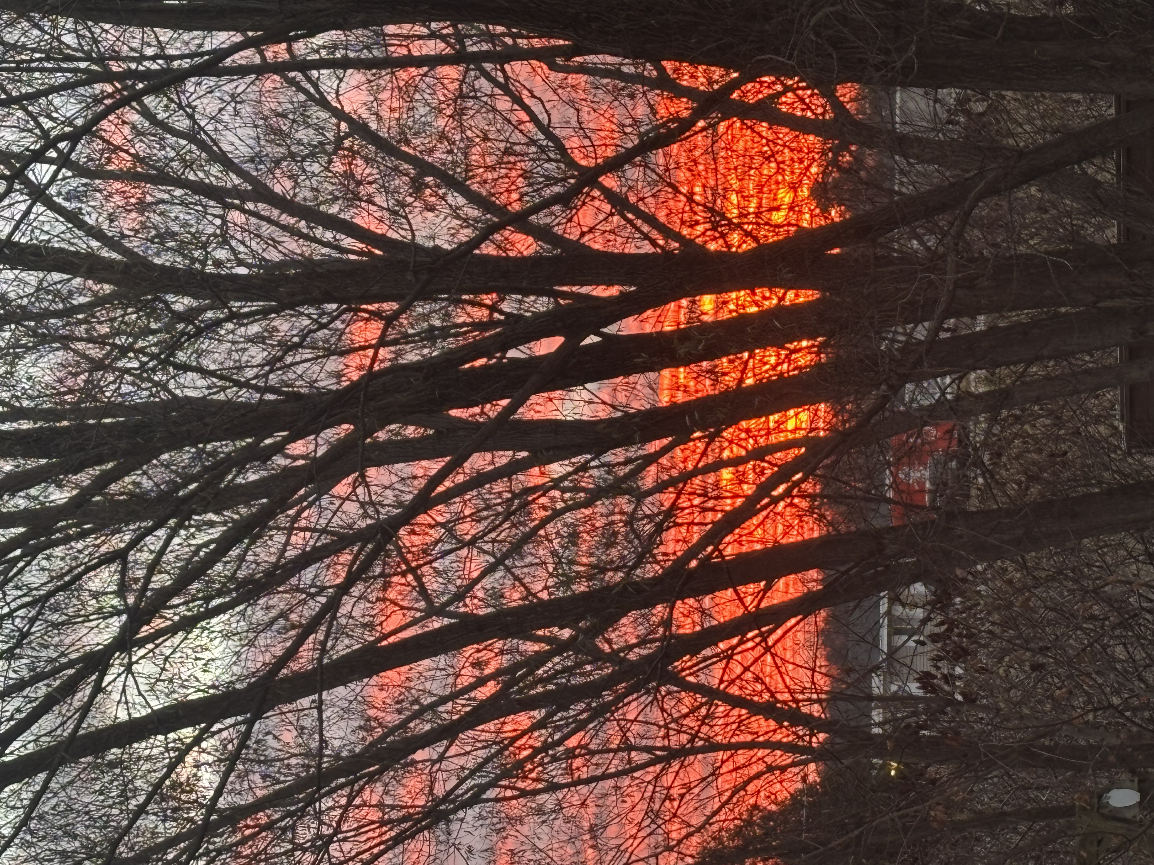 Heather Hoopfer photo 36