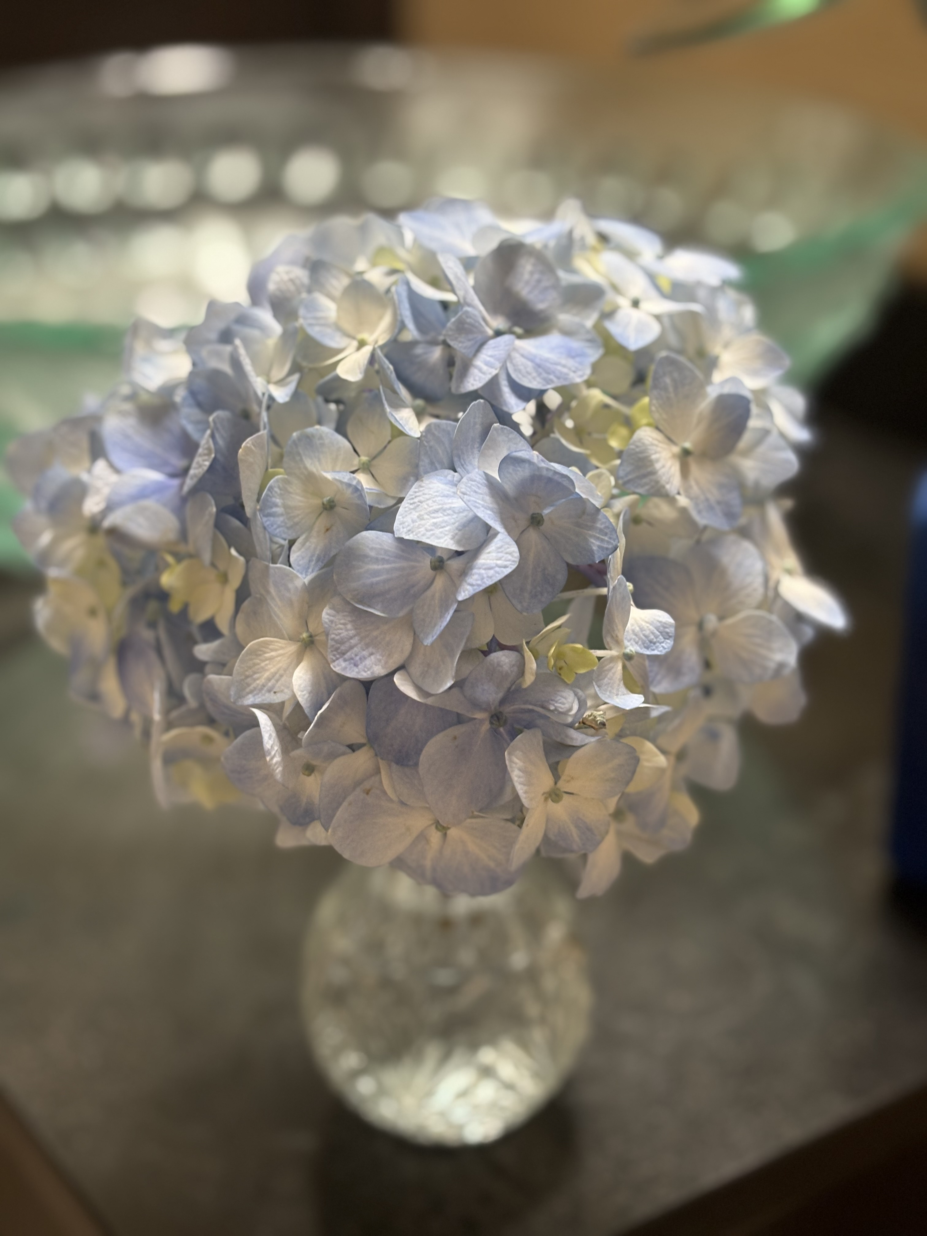 Heather Hoopfer photo 50