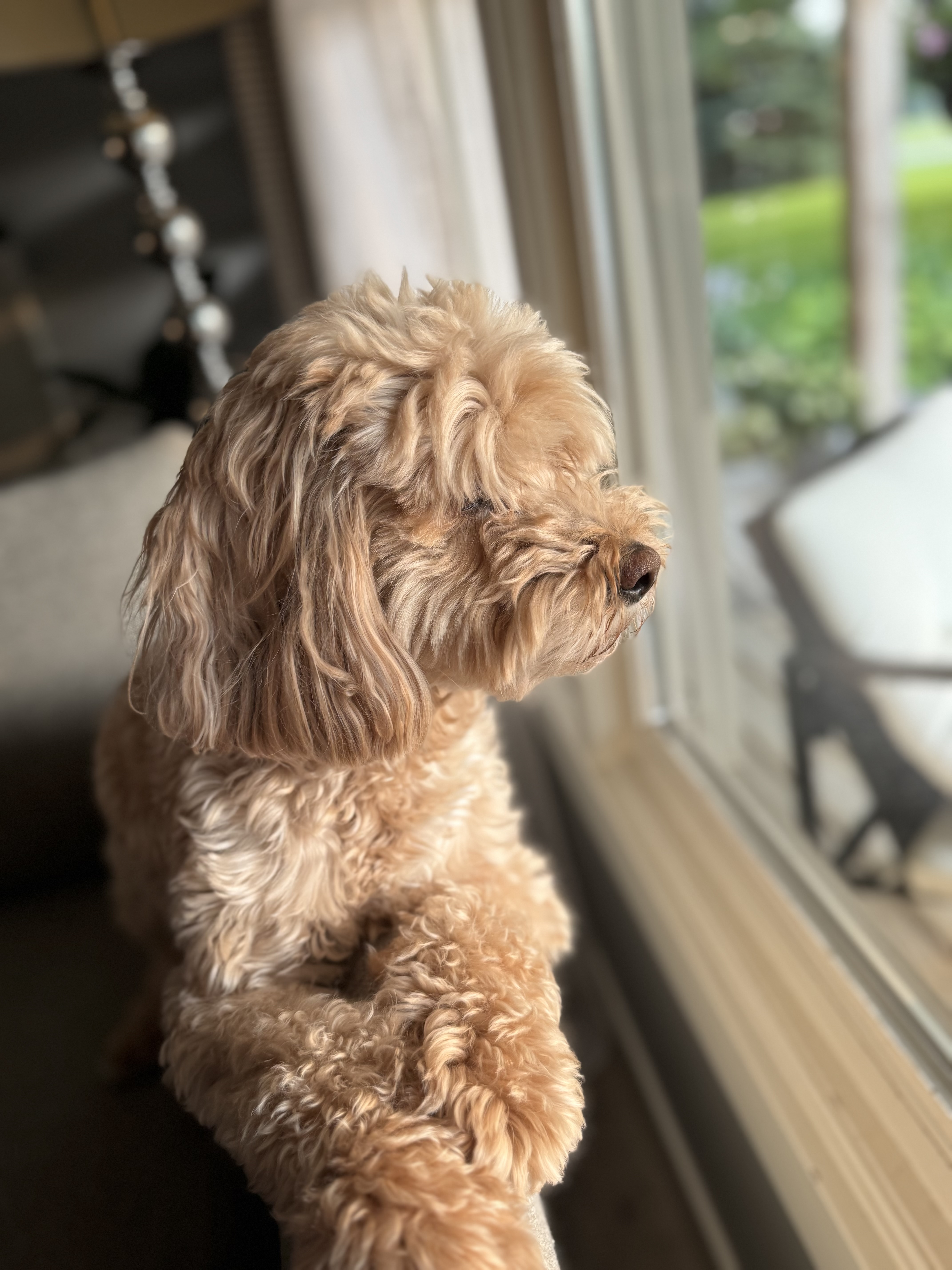 Heather Hoopfer photo 51