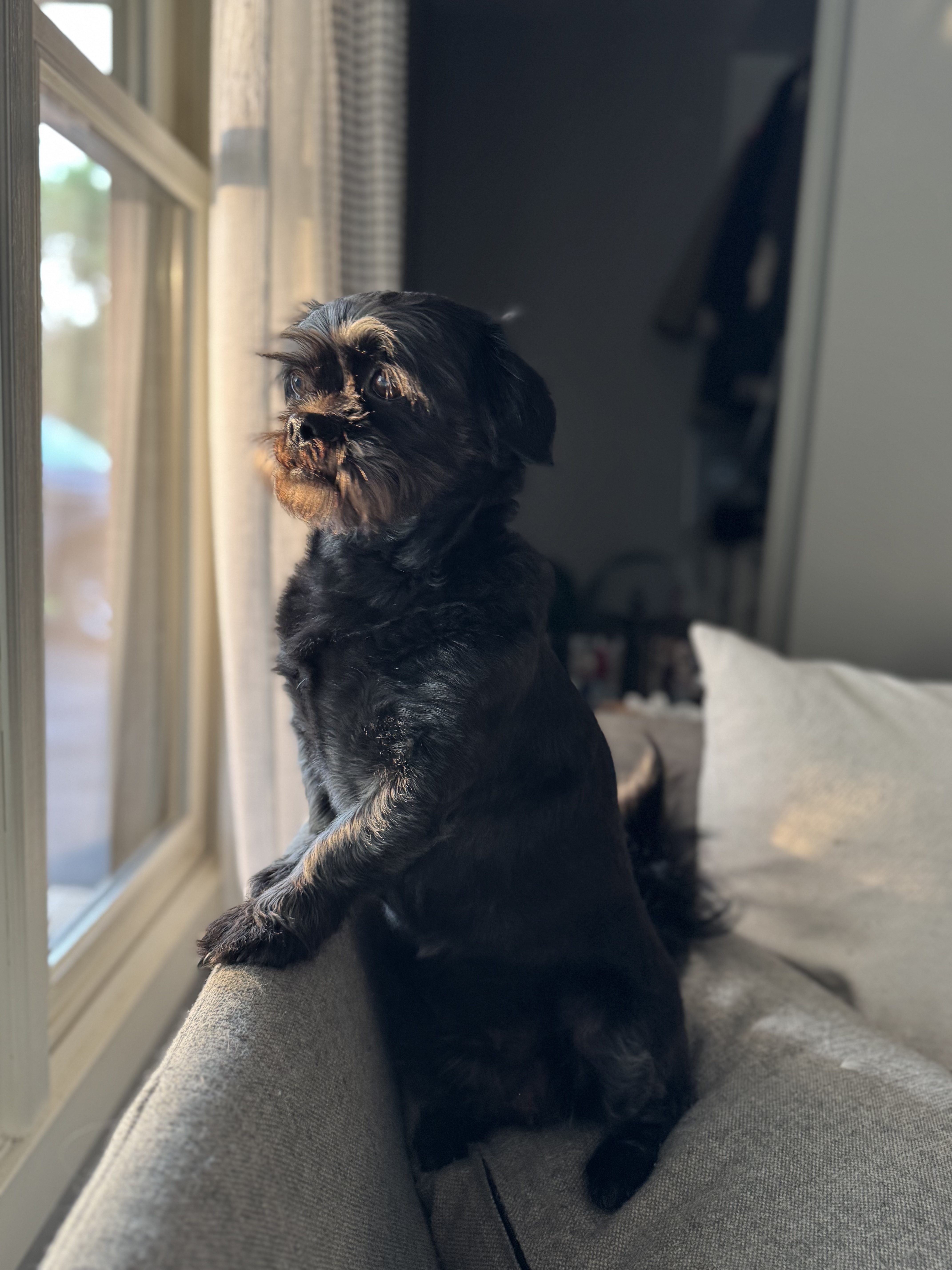 Heather Hoopfer photo 52