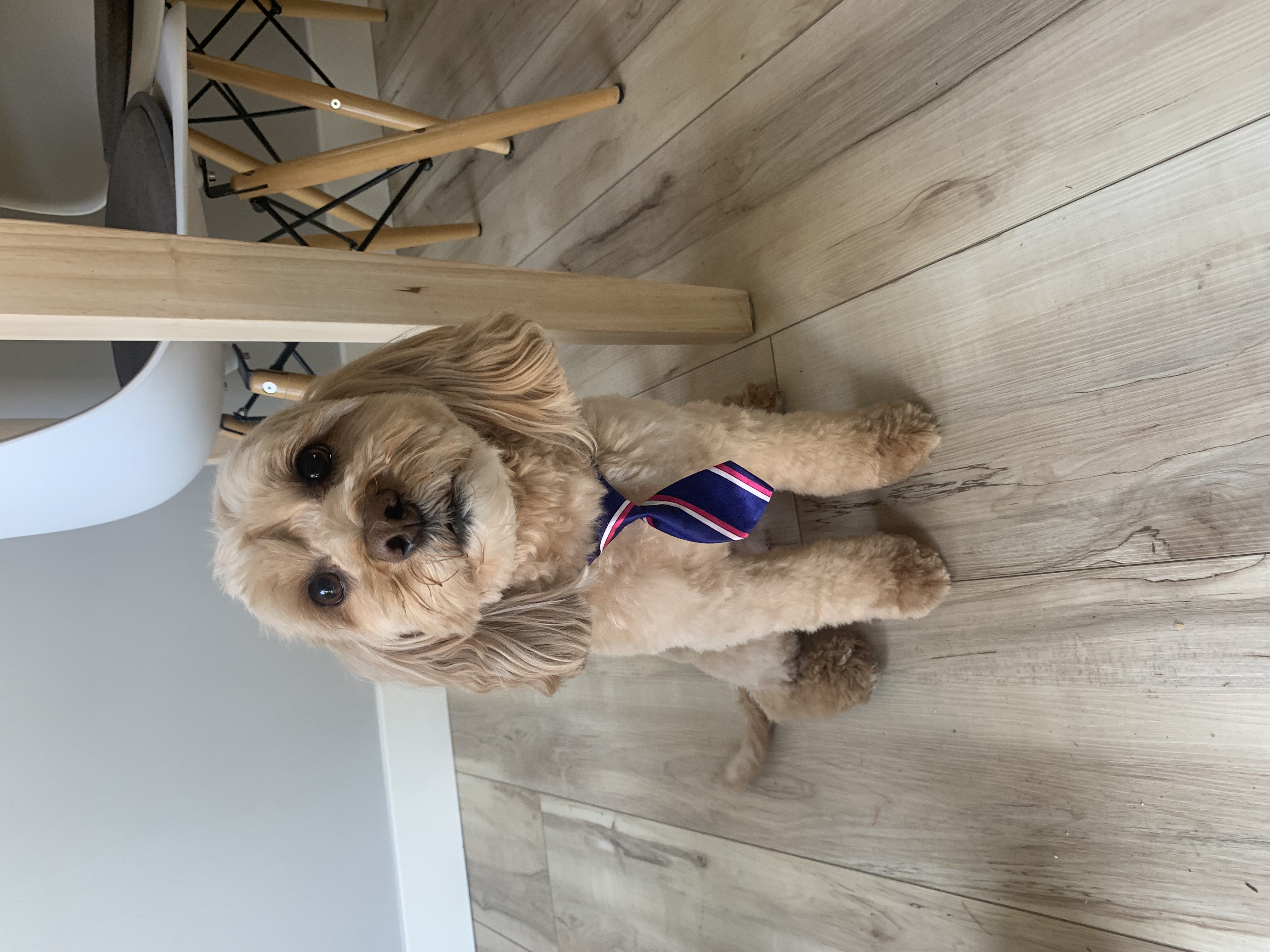 Heather Hoopfer photo 58