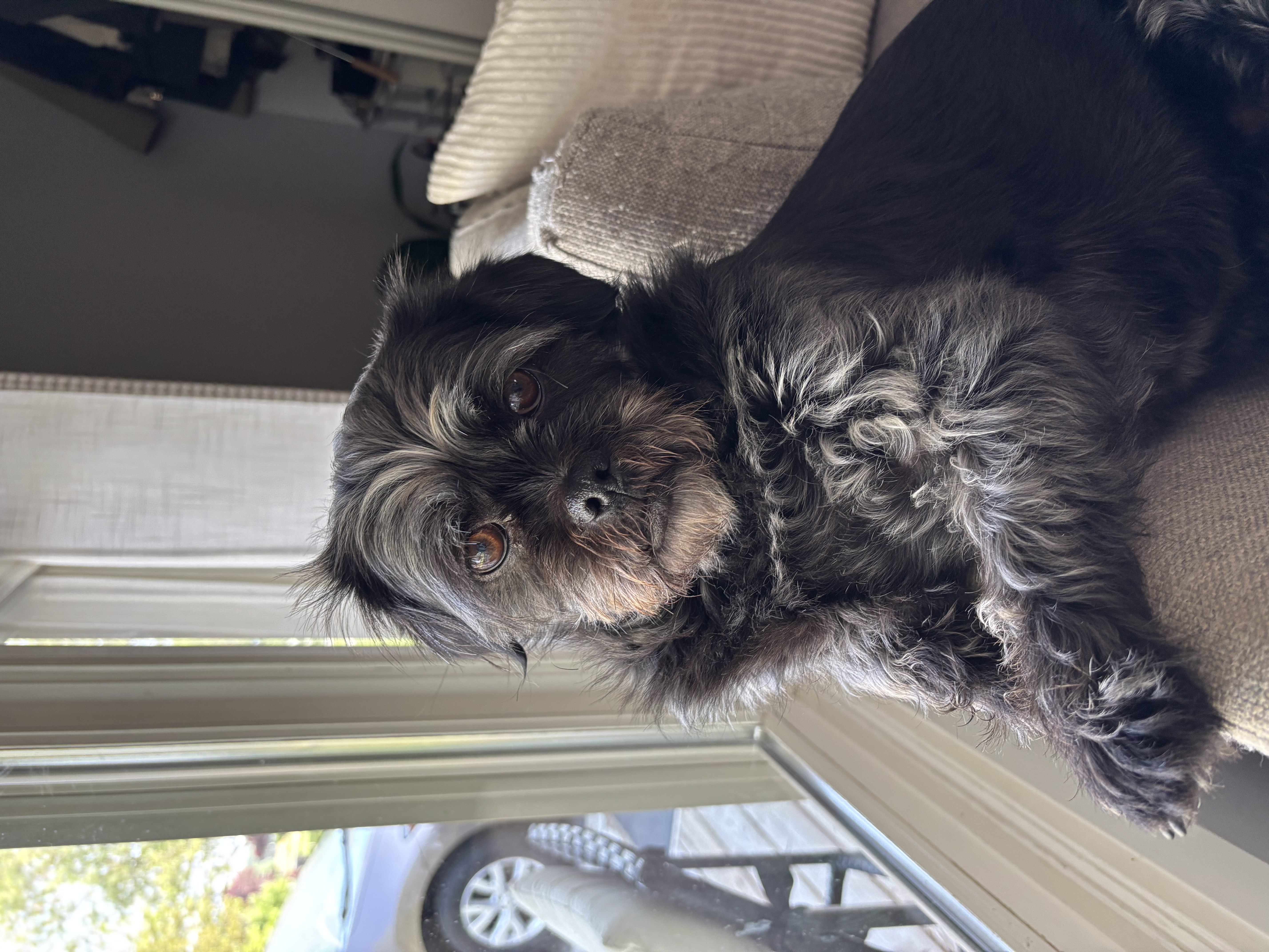 Heather Hoopfer photo 64